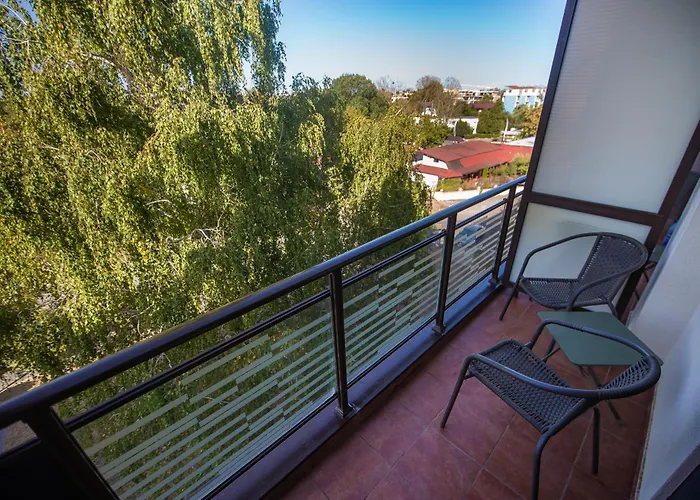 Hotel Doina